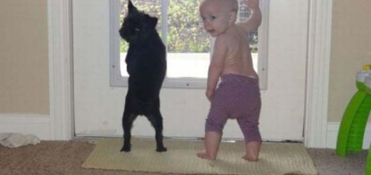baby and dog looking out window