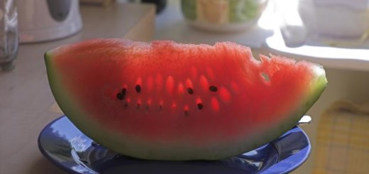 Cats Eat Watermelon